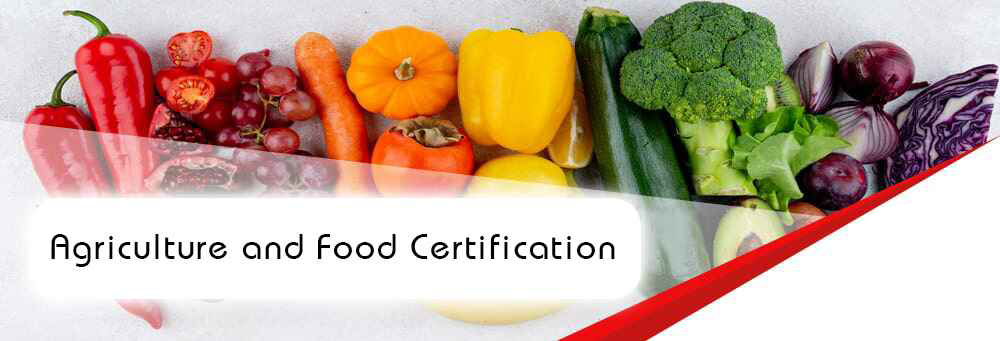 Kayra Certification provides guidance and certification services to help you obtain industry-recognized certifications such as FSSC 22000, BRC, IFS, HACCP, and Halal Food in the agriculture and food sectors. Contact us today to obtain your certifications quickly and efficiently.






