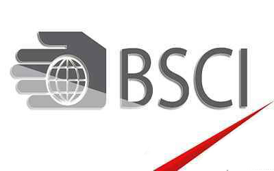 BSCI Certification is an important certificate that enhances the social responsibility standards of the supply chain. As a BSCI certification body, we provide professional support.